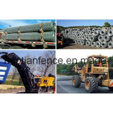 Cesta de Gabion